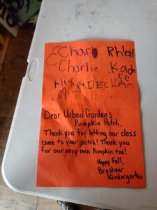 Thank You Letter